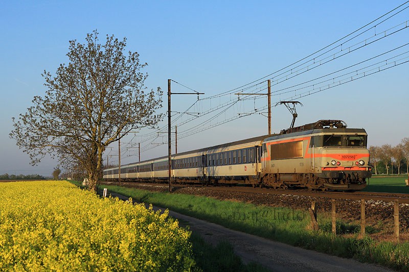 BB 7256.JPG